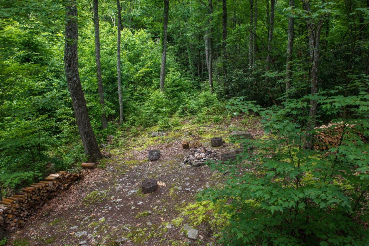 Chief Big Log Villa Hatchertown Exterior photo